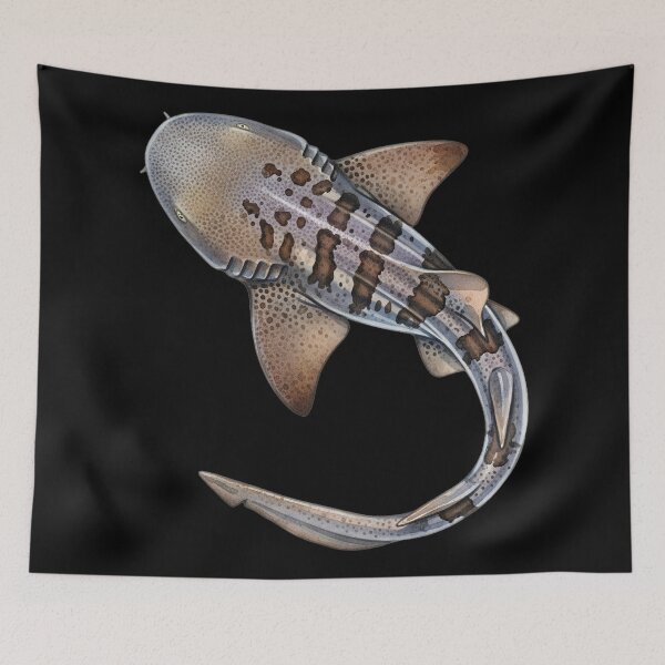 Item preview, Nurse Shark designed and sold by 4rtistcDrift.
