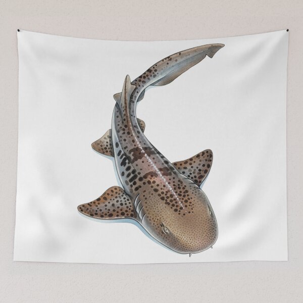 Item preview, Nurse shark designed and sold by 4rtistcDrift.