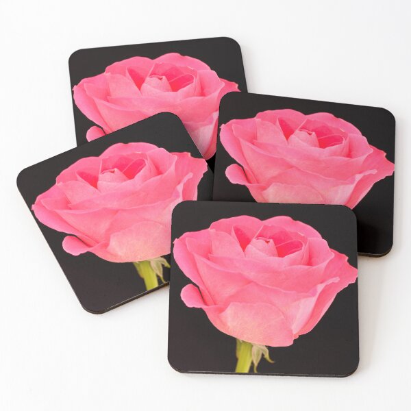 Item preview, Single Pink Rose designed and sold by JeanKellyPhoto.