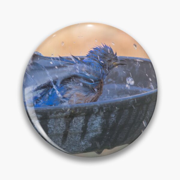 Item preview, Bluebird Bath designed and sold by CarolM.