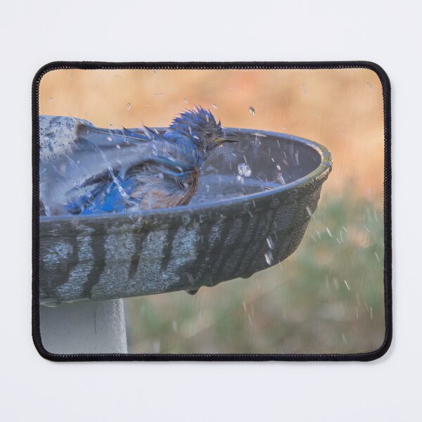 Item preview, Bluebird Bath designed and sold by CarolM.