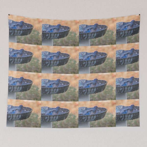 Item preview, Bluebird Bath designed and sold by CarolM.