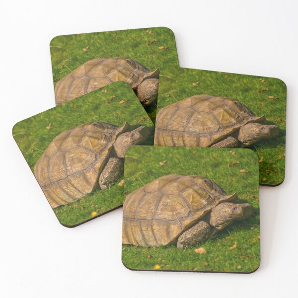 Item preview, Love Tortoises! designed and sold by JeanKellyPhoto.