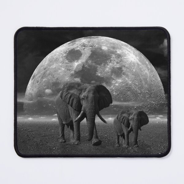 Item preview, Elephant designed and sold by Sérgio Rodrigues Garcez Filho.