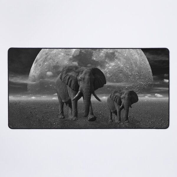 Item preview, Elephant designed and sold by Sérgio Rodrigues Garcez Filho.