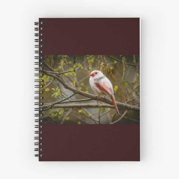 Item preview, Leucistic Cardinal  designed and sold by Shannon Emmel .