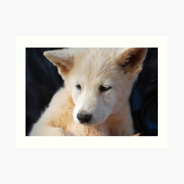 Pensive - A New Home Art Print