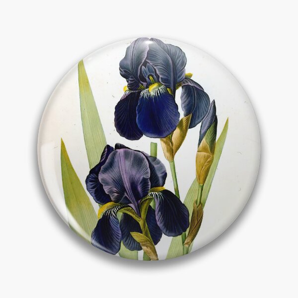 Item preview, Pierre Joseph Redoute - Iris Germanica Flower designed and sold by Jon-Baran.