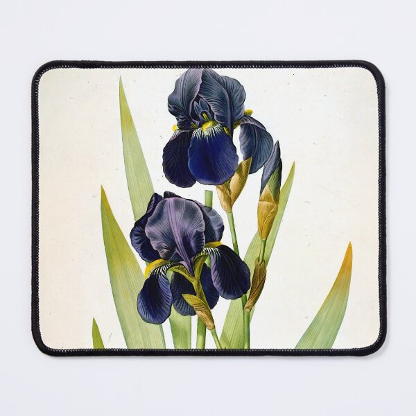 Item preview, Pierre Joseph Redoute - Iris Germanica Flower designed and sold by Jon-Baran.