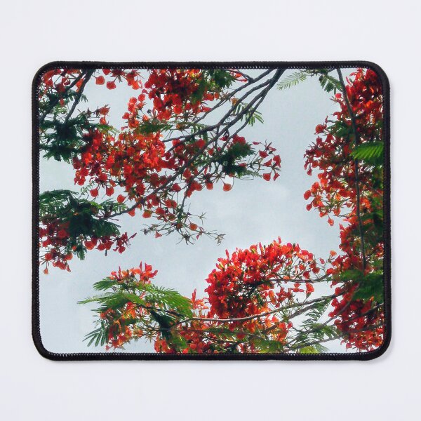 Item preview, Flowers On a Tree in Guatemala designed and sold by heatherfriedman.