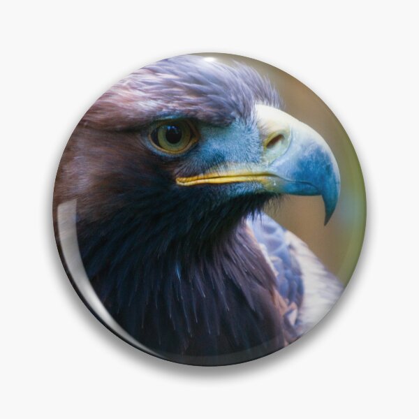 Item preview, Golden Eagle designed and sold by JeanKellyPhoto.
