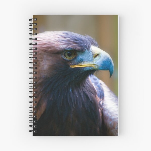 Item preview, Golden Eagle designed and sold by JeanKellyPhoto.