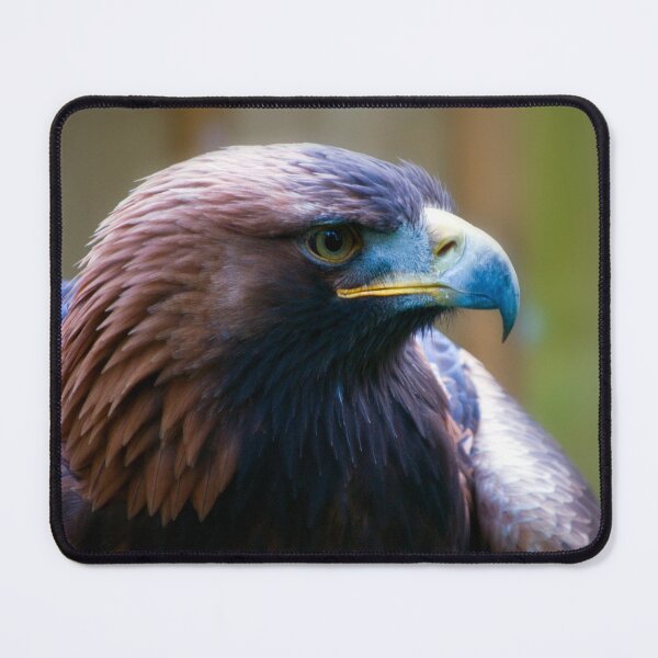 Item preview, Golden Eagle designed and sold by JeanKellyPhoto.