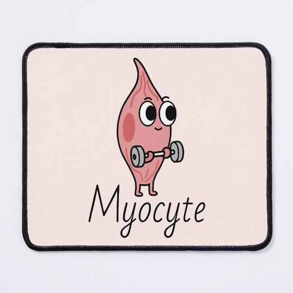 Item preview, Myocyte (Muscle cell) - Cute Cell Types designed and sold by MicroMarket.