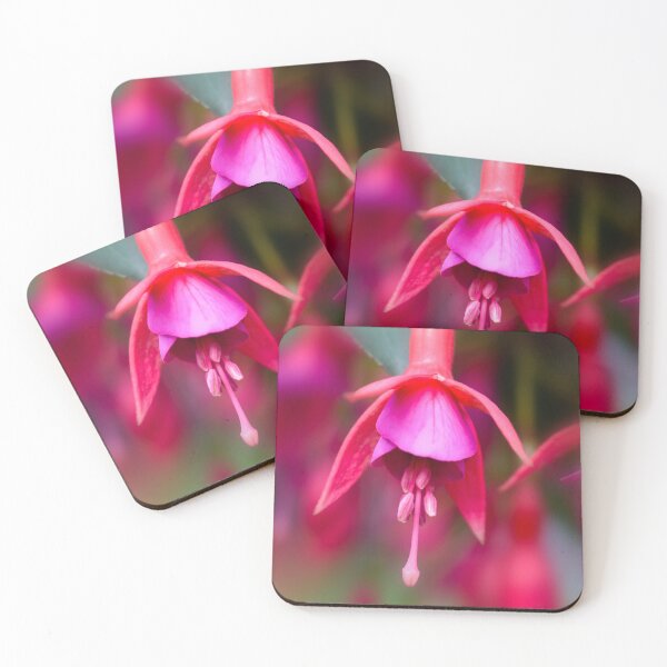Item preview, Fuchsia designed and sold by JeanKellyPhoto.