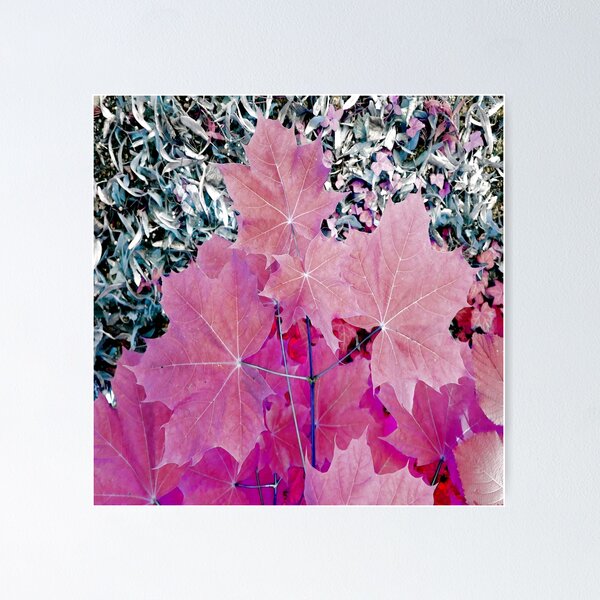 Item preview, Maple leaves in pink designed and sold by GurselYesilDART.