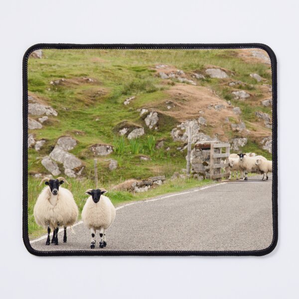 Item preview, C'mon gals, the sign back there said "Cattle Grid" designed and sold by Kasia Design.