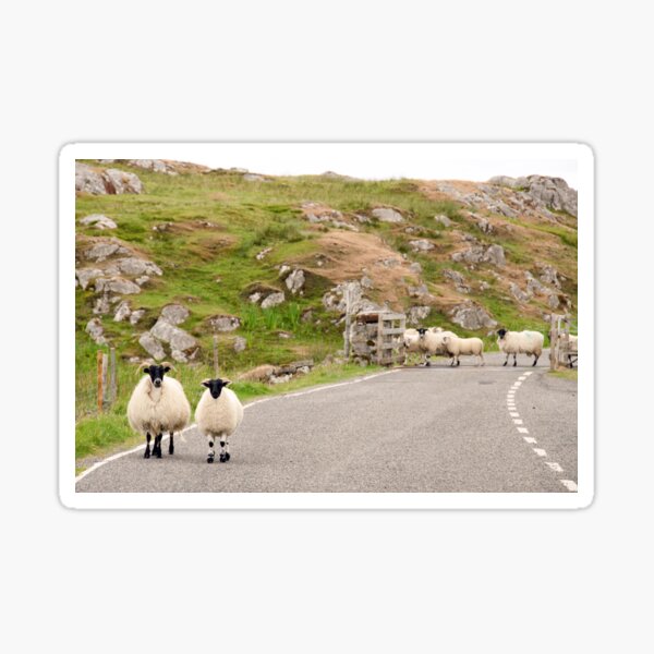 Item preview, C'mon gals, the sign back there said "Cattle Grid" designed and sold by Kasia Design.