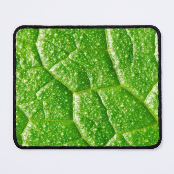 Item preview, Common Comfrey Leaf Pattern designed and sold by robdanimalphotography.