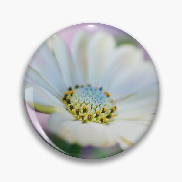 Item preview, African Daisy designed and sold by JeanKellyPhoto.