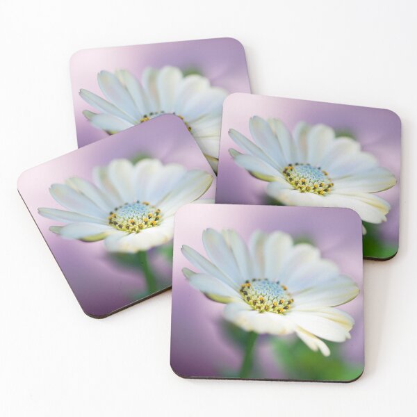 Item preview, African Daisy designed and sold by JeanKellyPhoto.