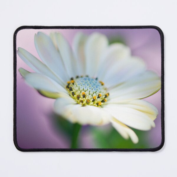 Item preview, African Daisy designed and sold by JeanKellyPhoto.