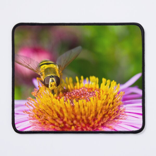 Item preview, Hoverfly on a pink flower designed and sold by JeanKellyPhoto.