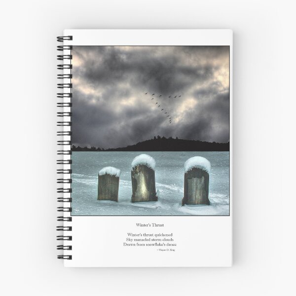Item preview, Winters Thrust Haiku designed and sold by Wayne King.