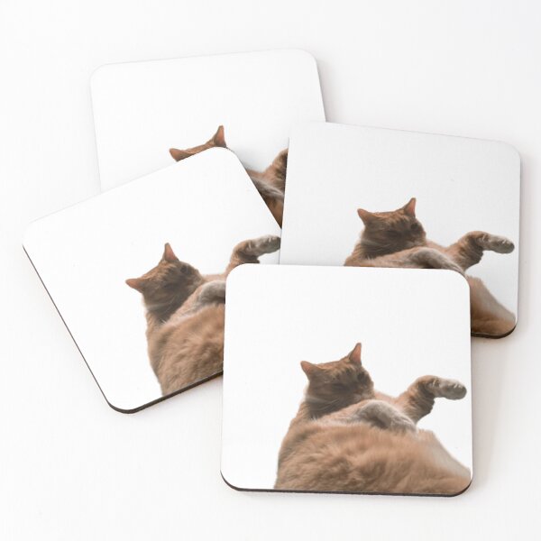 Item preview, Confused kitty designed and sold by Photographer Steve.