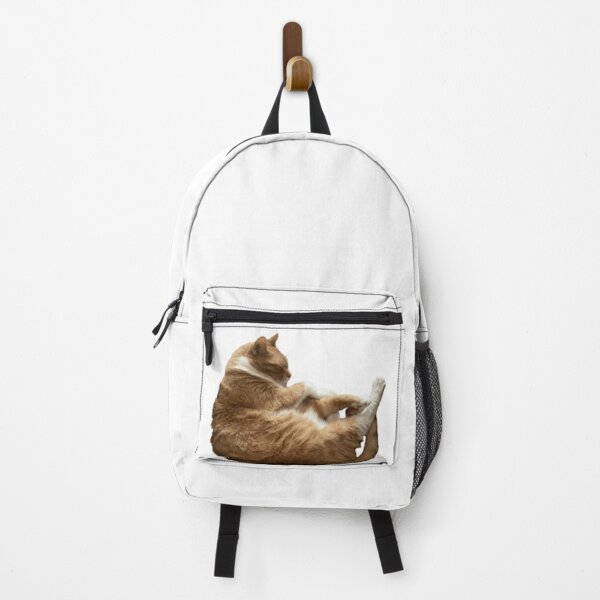 Item preview, Sleepy kitty designed and sold by Photographer Steve.