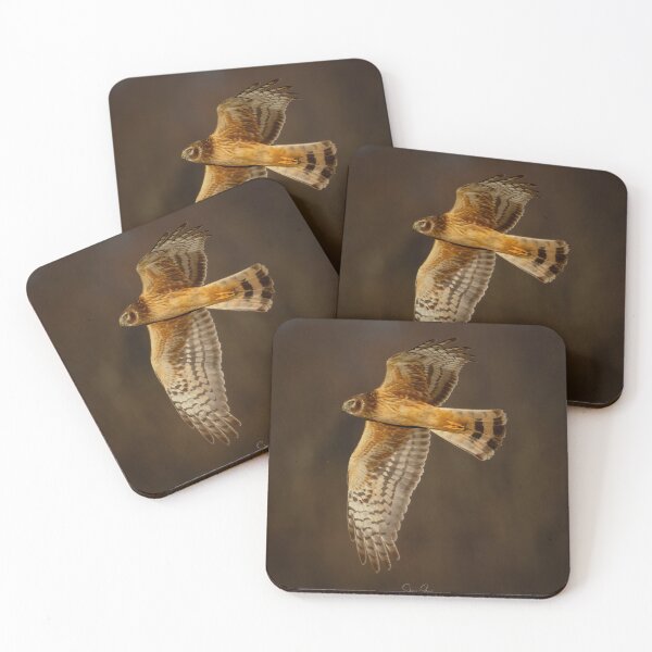 Item preview, Northern Harrier in flight. designed and sold by Shannon Emmel .