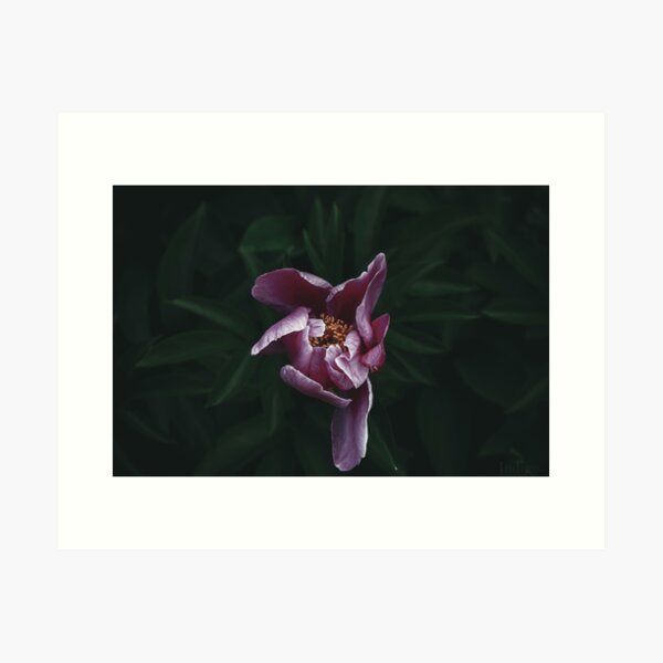 Item preview, Enigma Bloom designed and sold by IndigoChild-333.