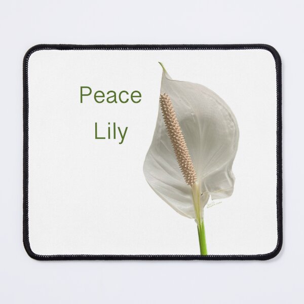Item preview, Peace lily designed and sold by Josephine Ethereal.