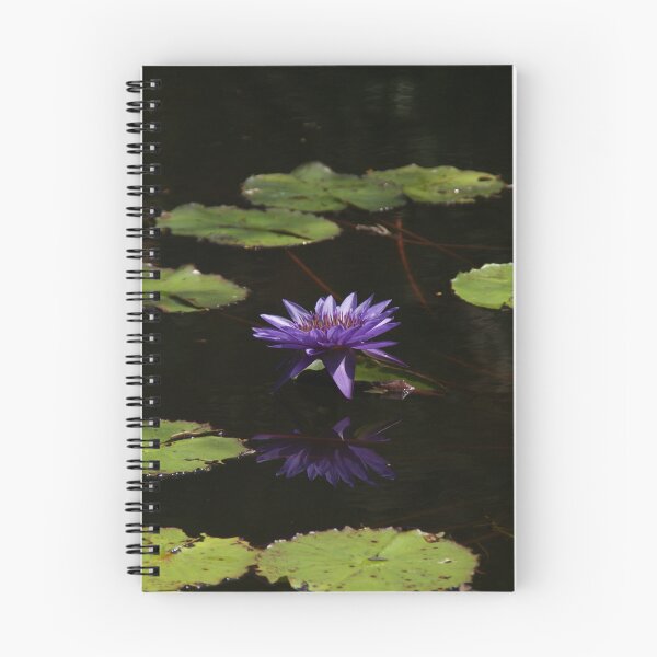 Item preview, Tranquil Water Lily Reflections designed and sold by Rx Photography.