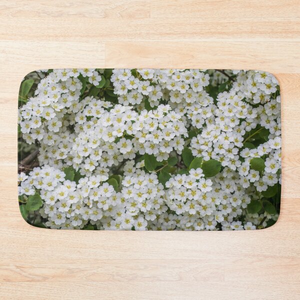 Item preview, Beautiful, Tiny, White Flower Clusters of a Bridal Wreath Spirea Bush designed and sold by LINDA MCKUSICK.