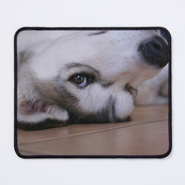 Item preview, Relaxed Husky Charm designed and sold by Rx Photography.