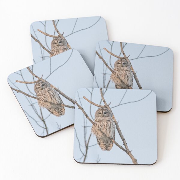 Item preview, Barred Owl Perched on a branch ~ Strix Varia designed and sold by Roxane Bay.