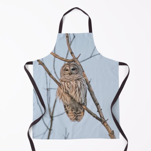 Item preview, Barred Owl Perched on a branch ~ Strix Varia designed and sold by Roxane Bay.