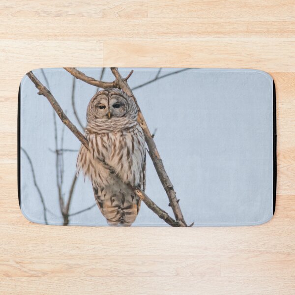 Item preview, Barred Owl Perched on a branch ~ Strix Varia designed and sold by Roxane Bay.