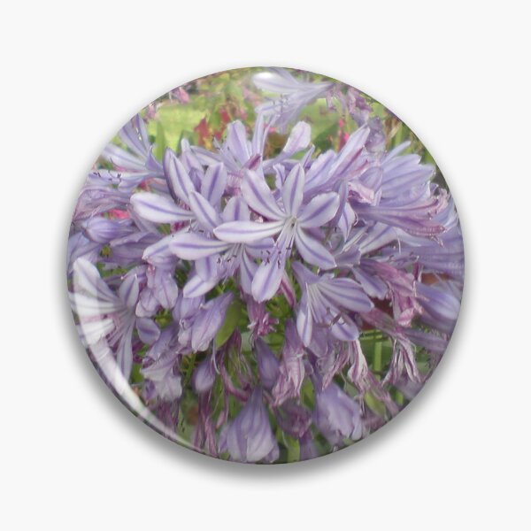 Item preview, Purple Agapanthus Bloom – Nature Photography designed and sold by Rx Photography.