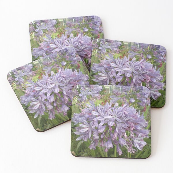Item preview, Purple Agapanthus Bloom – Nature Photography designed and sold by Rx Photography.