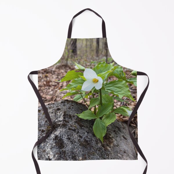 Item preview, Springtime Trilliums in full bloom designed and sold by Roxane Bay.