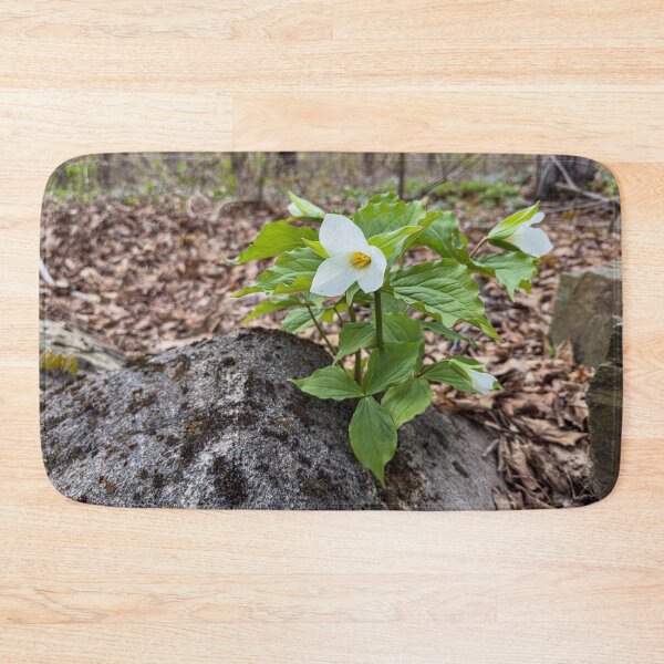 Item preview, Springtime Trilliums in full bloom designed and sold by Roxane Bay.