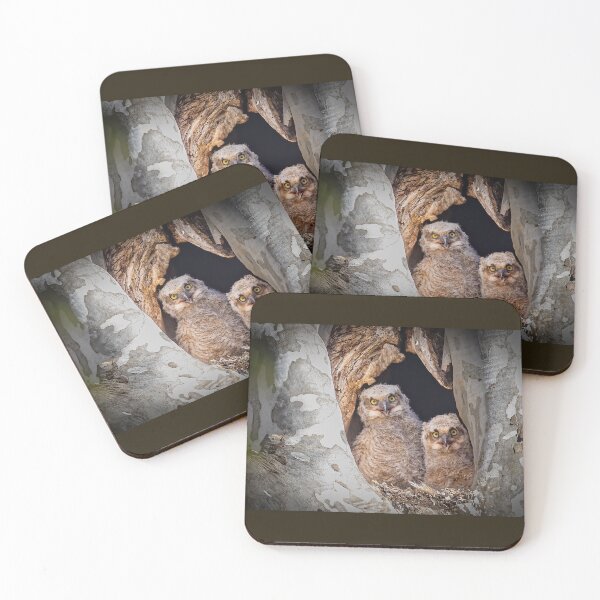 Item preview, Great-horned owlets in nest. designed and sold by Shannon Emmel .
