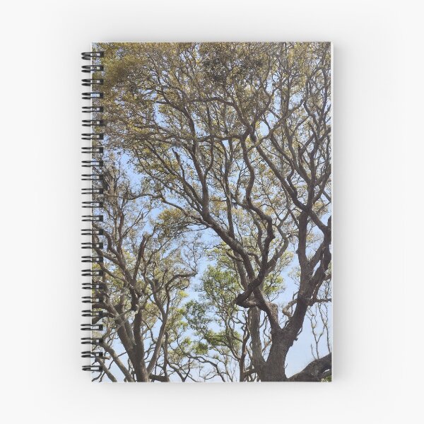 Item preview, All hail the great tree designed and sold by Quirkymuch.