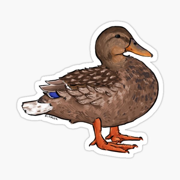 Item preview, Female Mallard Sticker designed and sold by VultureMonarch.