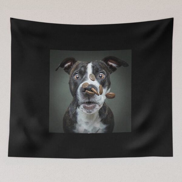 Item preview, Food? For me? designed and sold by Goska71.