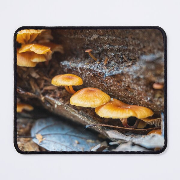 Item preview, Hidden life of mushrooms designed and sold by Falens-Photos.