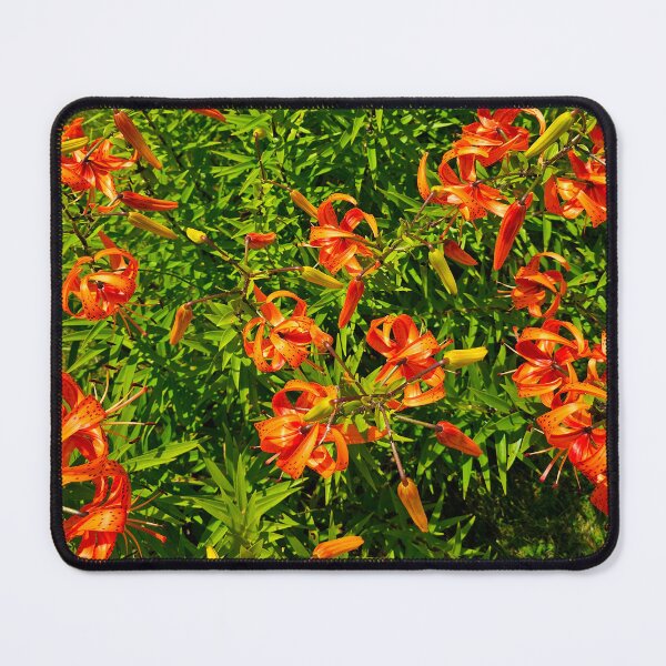 Item preview, Above the Tiger Lilies designed and sold by bjtomiko.