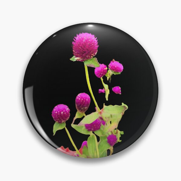 Item preview, Globe Amaranth Flower Botanical Art Print designed and sold by bvdesignart.